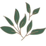 Branch_150