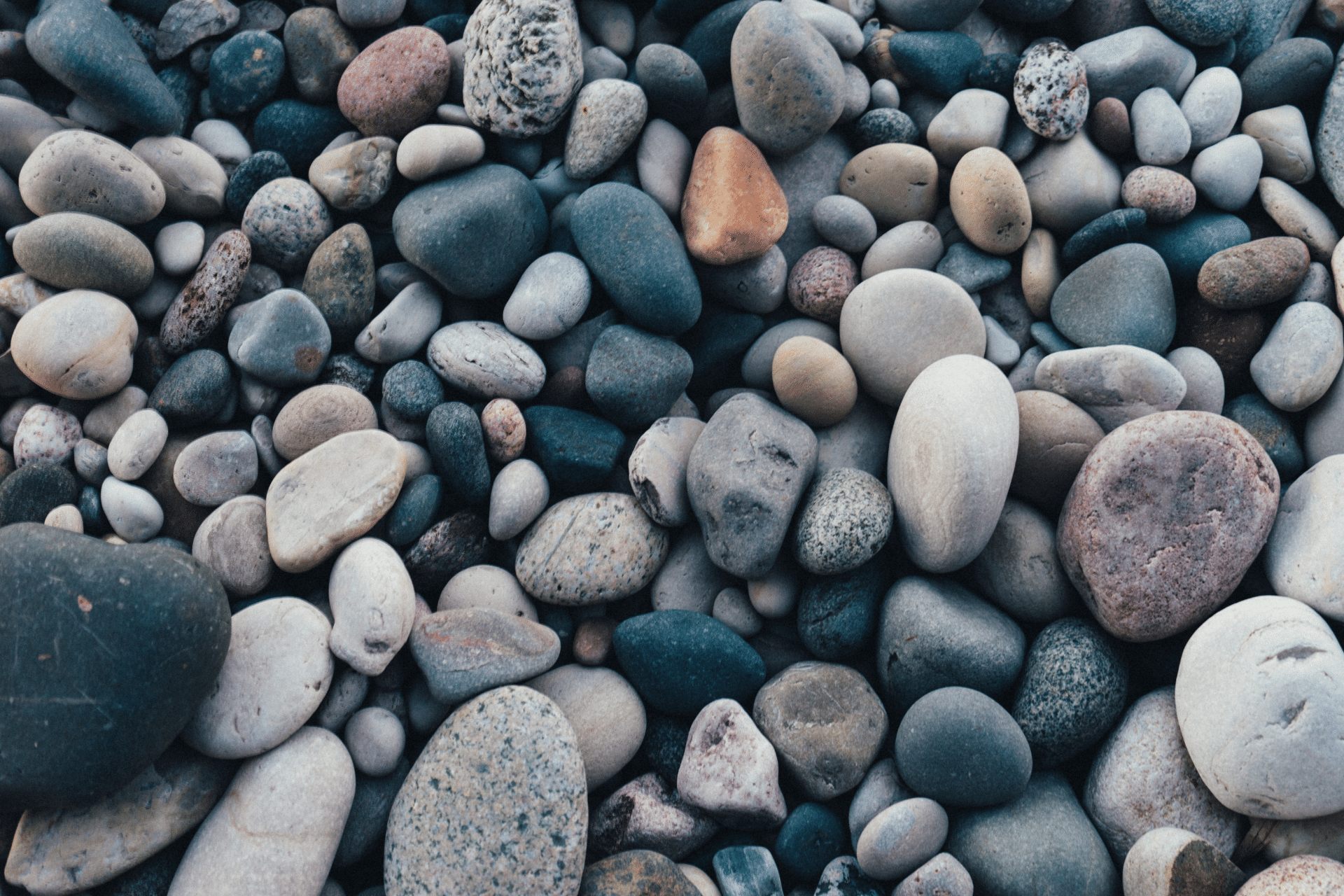 Web_rocks