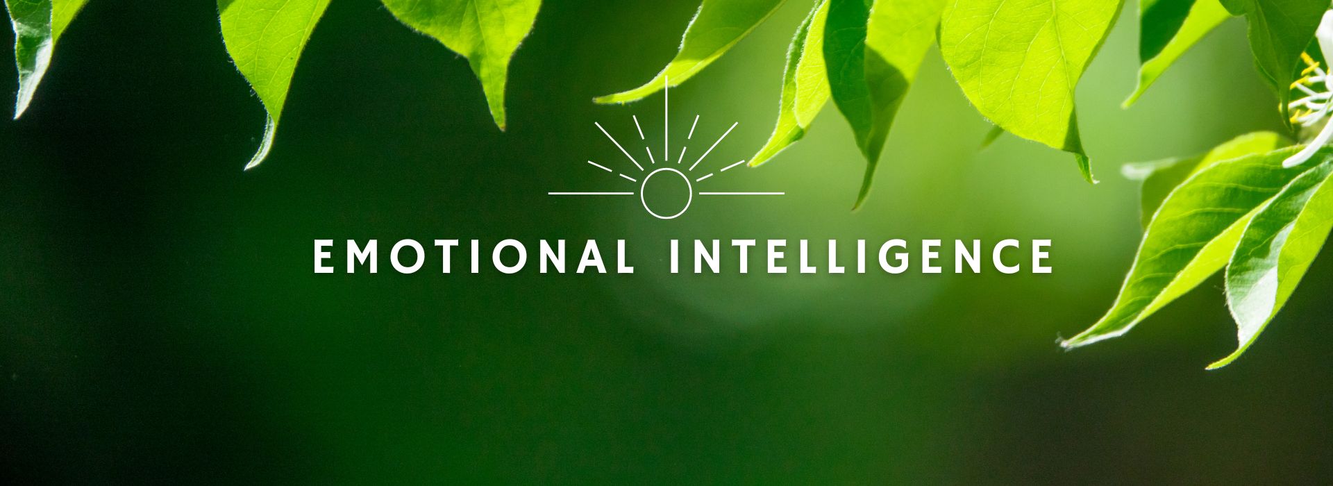 Emotional Intelligence Workshops 1 Leaves from a tree symbolizing emotional intelligence workshops