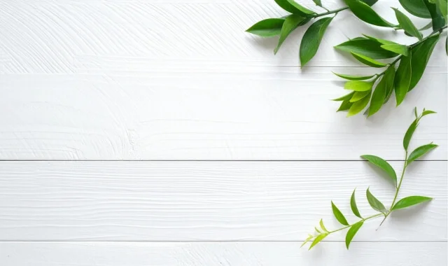 Green leafy branches against a white wood background, representing the organic and grounded nature of Sonya Stattmann's coaching, facilitation, and speaking work.